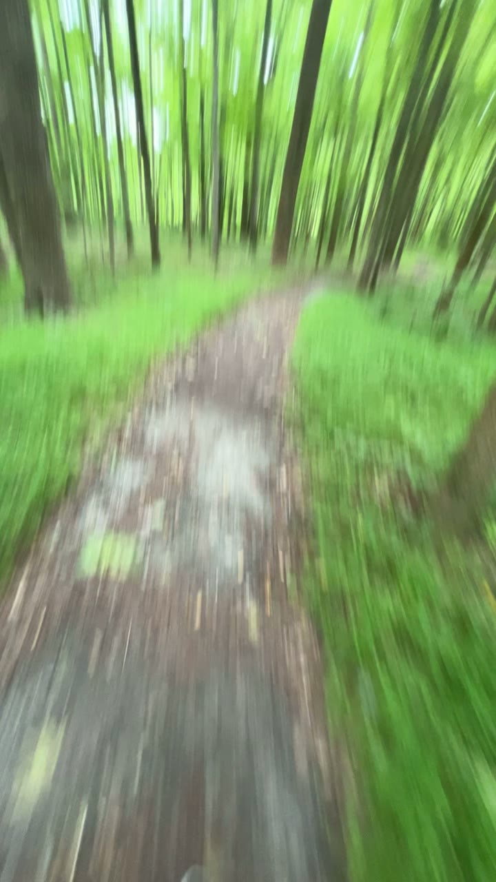 hometown woods